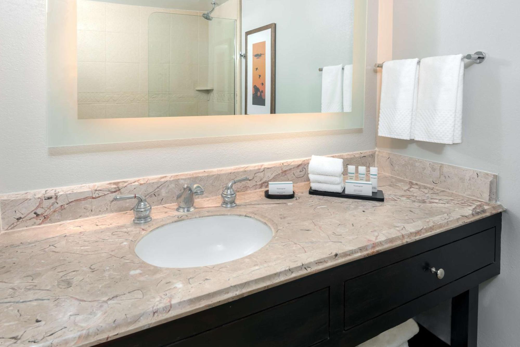 Embassy Suites Dallas - Park Central Area Extérieur photo